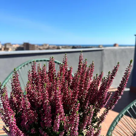 Dimora Ferdinandea Catania